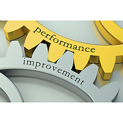 P604 Performance Evaluation & Management of LEV